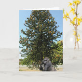 Monkey Puzzle & Puzzled Gorilla. Kaart (Gele Bloem)