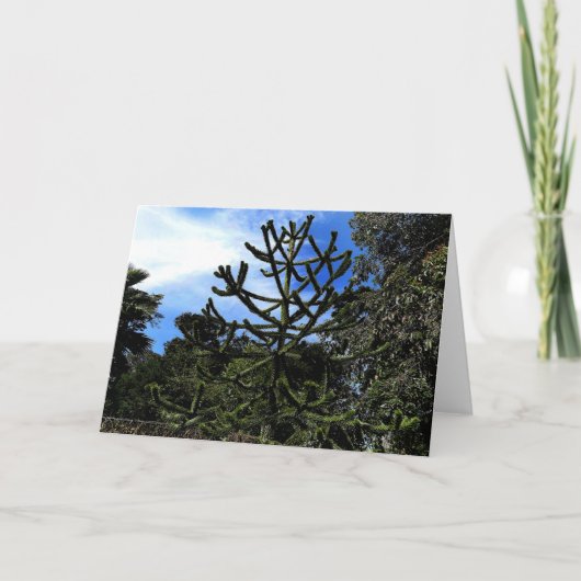 Monkey Puzzle Tree #1 Kaart (Voorkant)