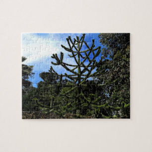 Monkey Puzzle Tree #1 Puzzle Legpuzzel