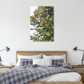 Monkey Puzzle Tree Fotografisch Canvas Afdruk (Insitu (Slaapkamer))