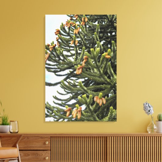 Monkey Puzzle Tree Fotografisch Canvas Afdruk (Insitu (Woonkamer))