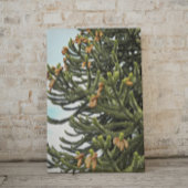 Monkey Puzzle Tree Fotografisch Canvas Afdruk