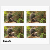 Monkey Rectangle Sticker (Vel)