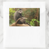 Monkey Rectangle Sticker (Tas)