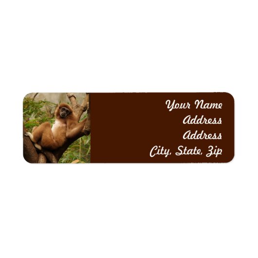 Monkey Return Address Sticker (Voorkant)