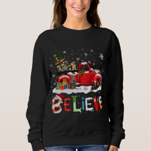 Monkey Riding Red Truck - kerstboom Believe San Trui