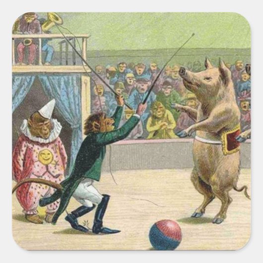 Monkey Ringmaster en Circus Pigs Vierkante Sticker (Voorkant)
