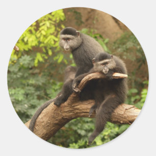 Monkey Round Sticker