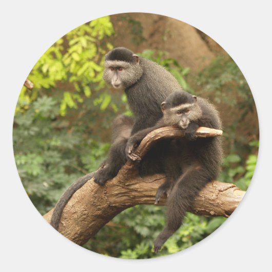 Monkey Round Sticker (Voorkant)