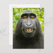 Monkey Selfie Briefkaart (Voorkant / Achterkant)