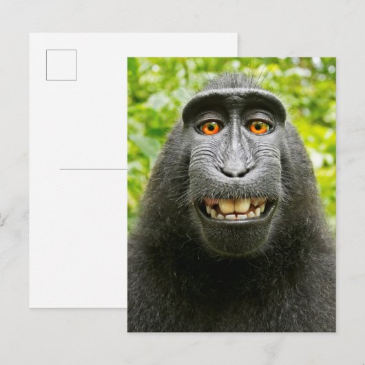 Monkey Selfie Briefkaart (Voorkant / Achterkant)