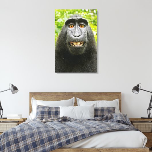 Monkey Selfie Canvas Afdruk (Insitu (Slaapkamer))