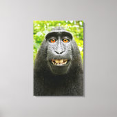 Monkey Selfie Canvas Afdruk (Voorkant)