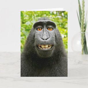 Monkey Selfie Kaart