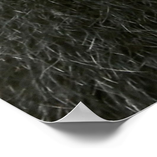 Monkey Selfie Poster (Hoek)