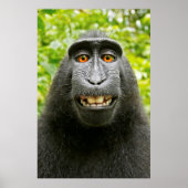 Monkey Selfie Poster (Voorkant)