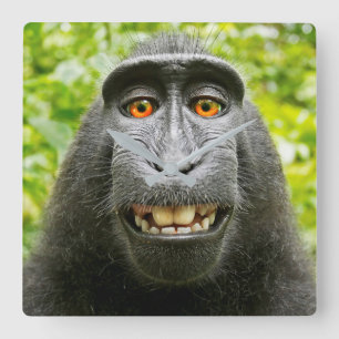 Monkey Selfie Vierkante Klok