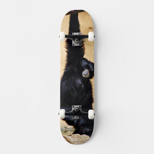 Monkey Skateboard (Voorkant)