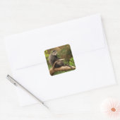 Monkey Square Sticker (Envelop)