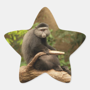 Monkey Star-Sticker Ster Sticker
