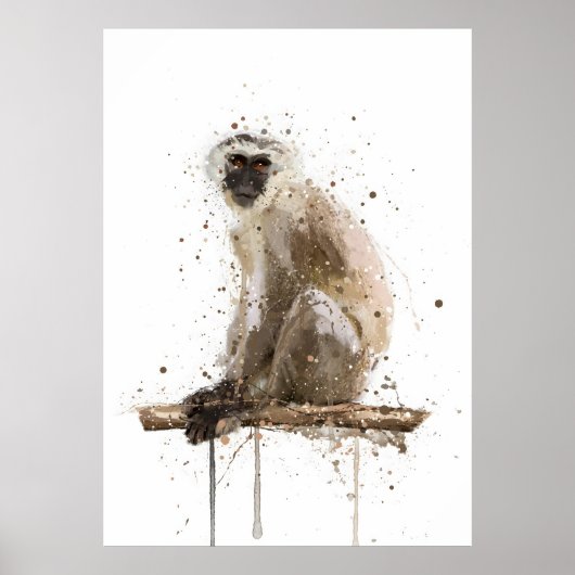Monkey Vervet Poster (Voorkant)