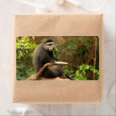 Monkey verzendlabel (Insitu)