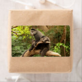 Monkey verzendlabel (Insitu)