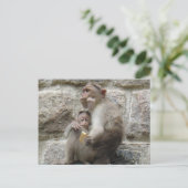 Monkey wil een koekje briefkaart (Staand voorkant)