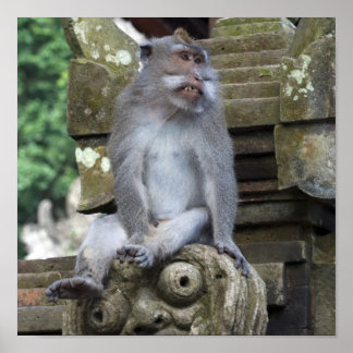 Monkey zit in een standbeeld op Bali Poster