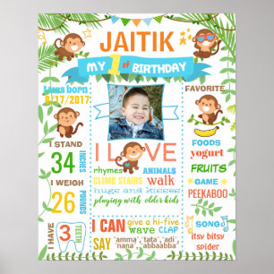 Monkey Zoo Premier panneau de tableau de bord d'an