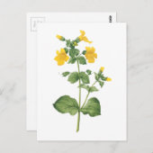 monkeyflower (Mimulus sp.) door Redouté Briefkaart (Voorkant / Achterkant)
