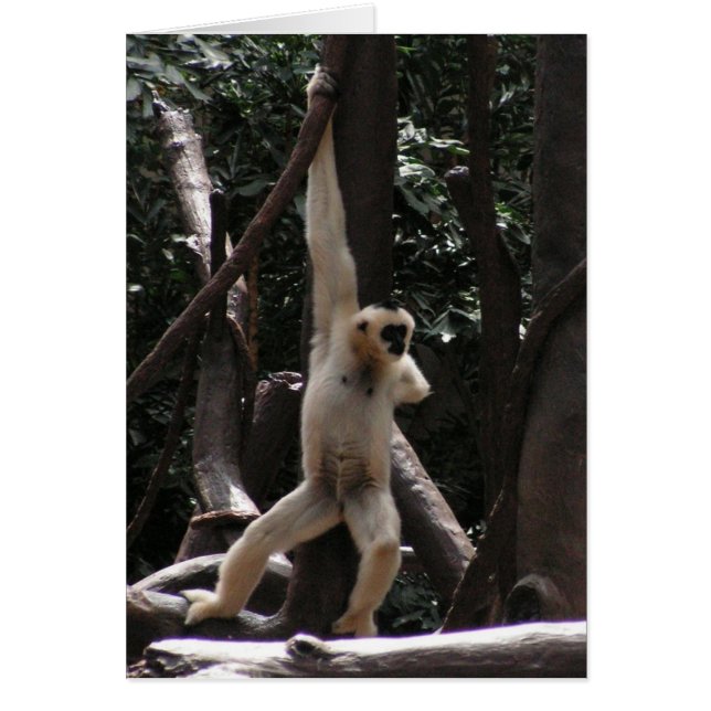 Monkeykaart (Voorkant)