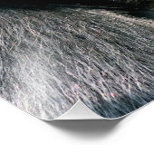 MONKEYS FOTO AFDRUK (Hoek)