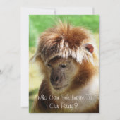 MONKEYS KAART (Voorkant)