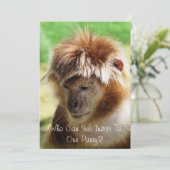 MONKEYS KAART (Staand voorkant)