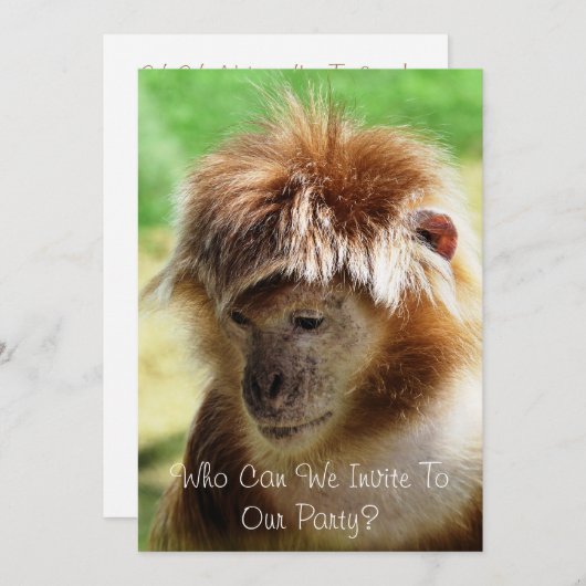 MONKEYS KAART (Voorkant / Achterkant)