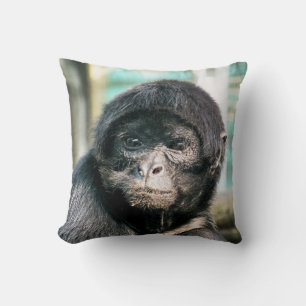 MONKEYS KUSSEN