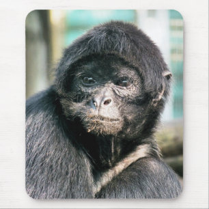 MONKEYS MUISMAT