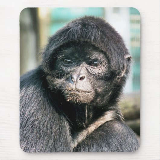 MONKEYS MUISMAT (Voorkant)