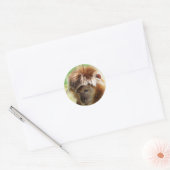 MONKEYS RONDE STICKER (Envelop)