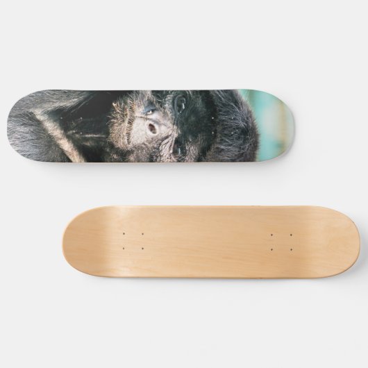 MONKEYS SKATEBOARD (Horizontaal)