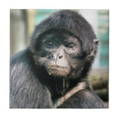 MONKEYS TEGELTJE (Voorkant)