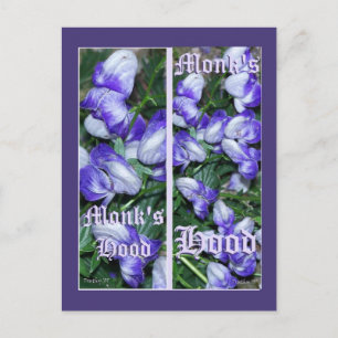 MONKSHOOD BLADWIJZER BRIEFKAART