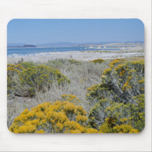 Mono Lake, CA Muismat