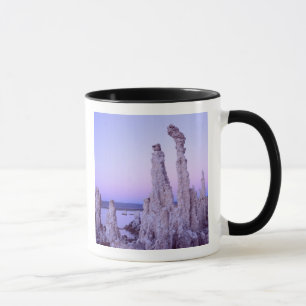 Mono Lake Reserve. Californië. VS. Tufa Mok