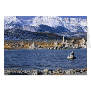 MONO LAKE TUFA STATE NATURAL RESERVE,