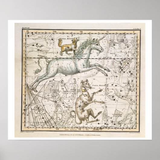 Monoceros uit 'A Celestial Atlas', café in 1822 Poster (Voorkant)