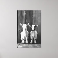 Monochromatische Portret van Twee Baby Geiten