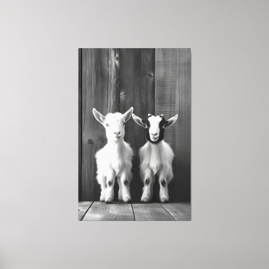 Monochromatische Portret van Twee Baby Geiten Canvas Afdruk (Voorkant)