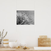 Monochrome achtergrond van mousserende dauw Dandel Poster (Keuken)